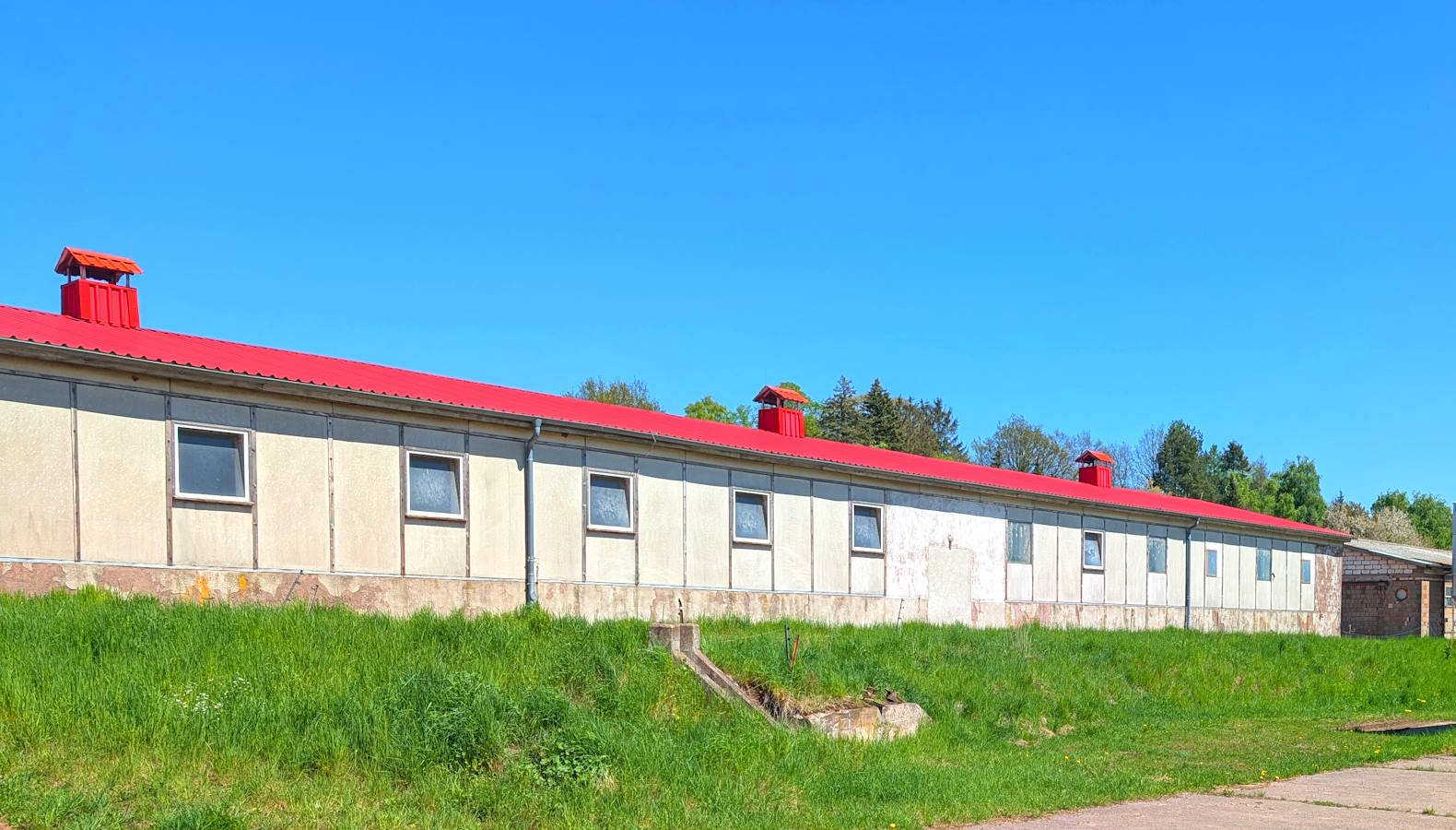 Holztrocknung am Forsthof – Produktion CO2-neutrales Brennholz